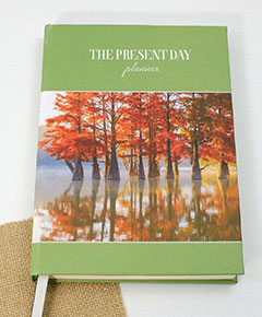 in-so-dan-gay-the-present-day-planner-2